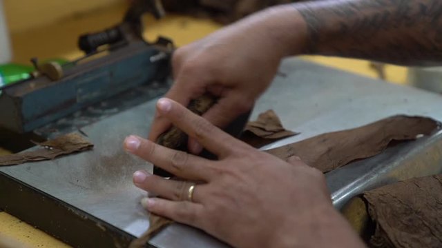 Cigar rolling, cutting tobacco leaf, Dominican Republic, slow motion