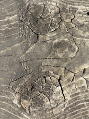 cracked wood texture