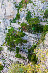 View of the Via Krupp stairs to sea in Capri, Italy