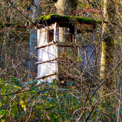 old house in the forest