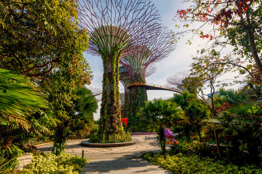 View of Gardens by the Bay, Singapore