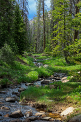 Fototapeta na wymiar Lost creek in Uinta Wasatch national forest