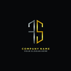 letter FS Minimalist style of gold and silver. luxury minimalist logo for business
