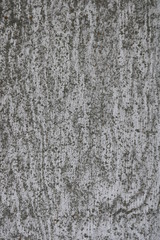 Fototapeta premium Dirty Wood Texture White