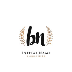 BN Initial handwriting logo vector	