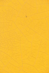 Yellow Cracked Paint Poster Background Portrait