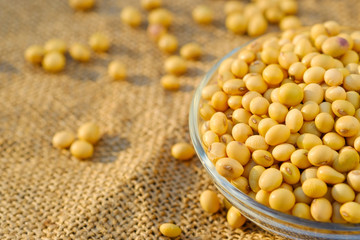 Soy bean in bowl with copy space.Close up soybean.beans dry in plate