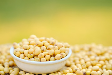 Soy bean in bowl with copy space.Close up soybean.beans dry in plate