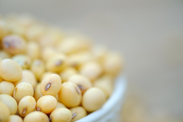 Soy bean in bowl with copy space.Close up soybean.beans dry in plate