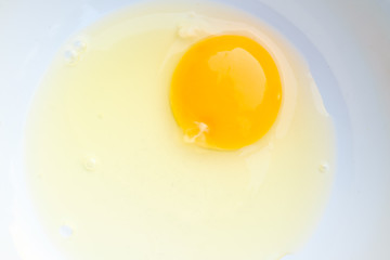 Egg in a white plate