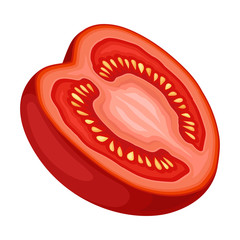 Half of Red Tomato, Ripe Organic Healthy Vegetable Vector Illustration