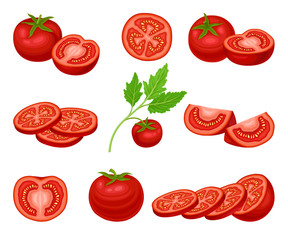 Fresh Ripe Red Tomatoes Collection, Whole and Sliced Vegan Organic Healthy Vegetables Vector Illustration