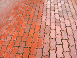 road paved with red curly paving tiles