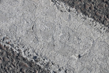White Painted Line Road Texture Poster