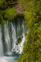 Obraz premium Burney Falls in Shasta County California