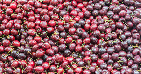 fresh cranberries background