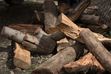 pile of wood logs