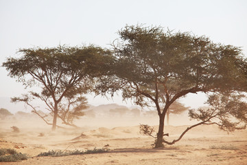 African landscapes