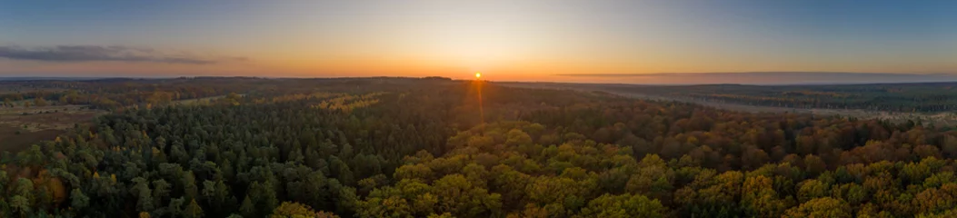 Fotobehang Aerial panoramic drone shot of Luneberg Heide forests pine trees forests woodland during sunset in autumn © Davidzfr
