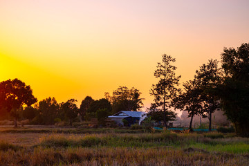Evening natural scenery in a country in Southeast Asia.Farmland Sunrise in nature.