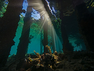 Light curtain under the jetty, Lichteinfall unter dem Jetty