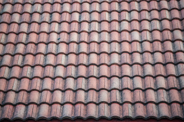 Fototapeta premium red roof tiles