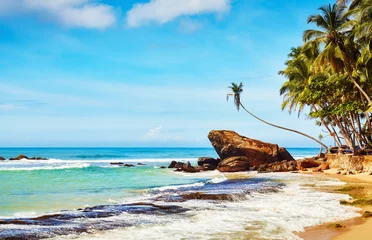 Foto op Aluminium Tropical beach, summer vacation concept, Sri Lanka. © MaciejBledowski