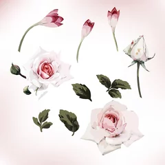 Fototapete Rosen Blumen und Blätter, Aquarell, können als Grußkarte, Einladungskarte für Hochzeit, Geburtstag und andere Urlaubs- und Sommerhintergründe verwendet werden. Vektor-Illustration.