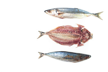 Sliced Raw Mackerel stretched isolated on white background