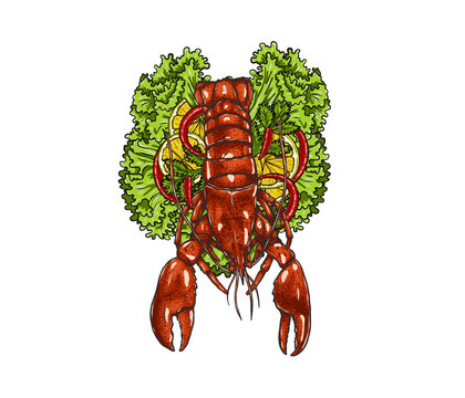 red lobster with lettuce and lemon slices clip art preview