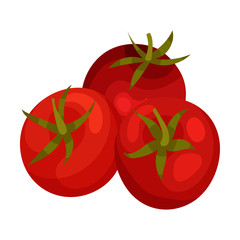 Whole Fresh Ripe Red Tomatoes, Organic Healthy Vegetables Vector Illustration