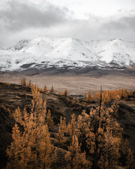 gloomy landscape at sunset day of a giant snowy mountain range with glaciers towering over the autumn valley - 314417749