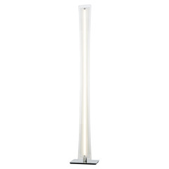 Floor lamp, isolated on white background.