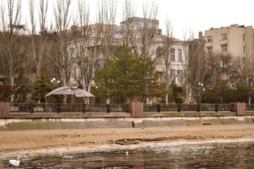 Flock of gulls, ducks, swans and doves on a cloudy day on the black sea coast 