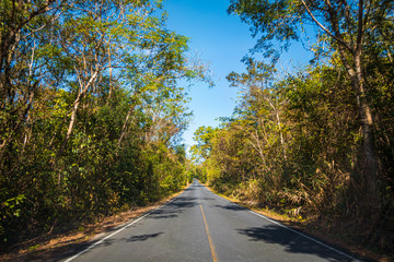 beautiful blue sky high peak mountains mist fog wildlife green forest at khao yai national park, Nakhon Ratchasima, Saraburi, Thailand guiding idea long weekend for backpacker camping campfire hiking