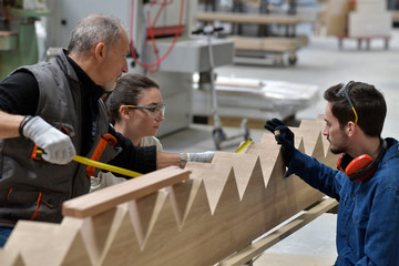 Carpenter with apprentice working in workshop