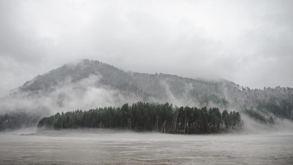 forest on an island in the middle of a mountain river covered with dense fog in cloudy rainy weather - 314421915
