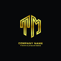 Initial letter TM, minimalist line art monogram hexagon logo, gold color
