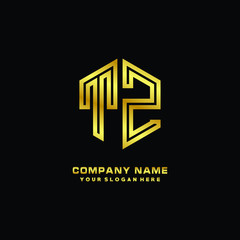 Initial letter TZ, minimalist line art monogram hexagon logo, gold color
