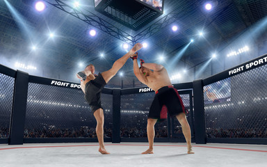 Fototapeta na wymiar MMA fighters on professional ring. Fighting Championship.