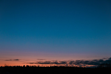 twilight blue sky view with treetops of firtree, orange sunset