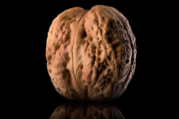 Macro photo of whole walnut with reflection isolated on a black background