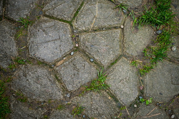 Obraz premium Texture of paving slabs overgrown with grass. Background image of a stratum stone