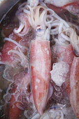 Fresh Squid on a market stall. Closeup fresh squid on the market. Fresh seafood. Fresh seafood market in Asia.