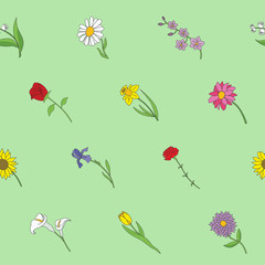Flower background - Vector color seamless pattern of rose, tulip, chamomile, carnation, iris, callai, orchid, narcissus, sunflower, chrysanthemum and astra for graphic design