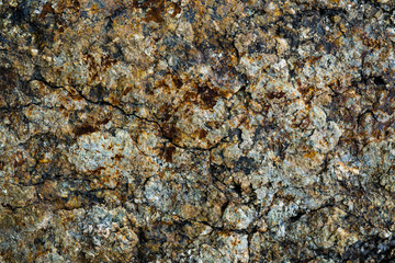 The texture of the stone overgrown with moss. Background image of a boulder