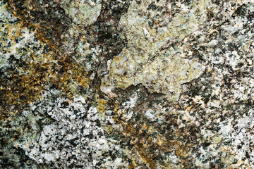 The texture of the stone overgrown with moss. Background image of a boulder