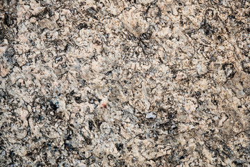 The texture of the stone overgrown with moss. Background image of a boulder