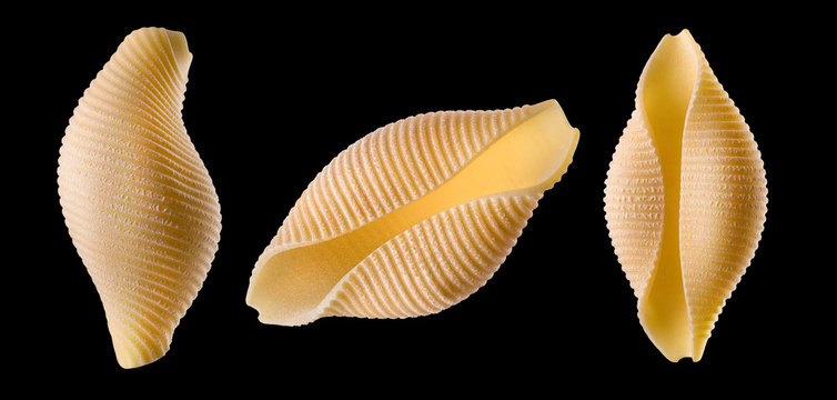 Set of conchiglie pasta shell isolated on black background