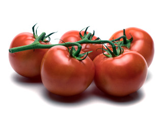 Graphic resources isolated object vegetable tomato